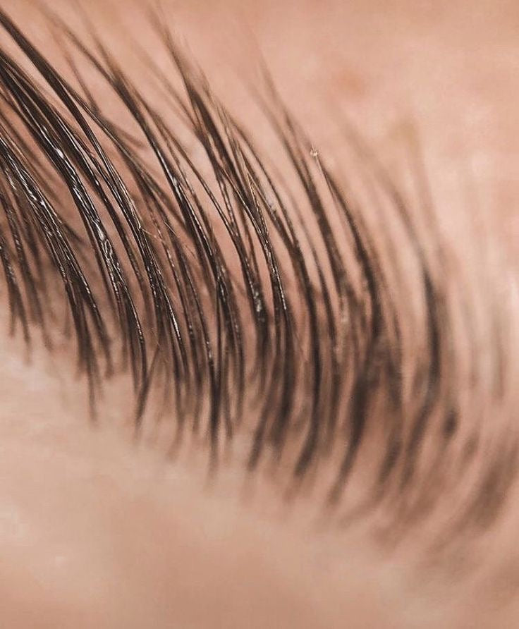 Brow Renew